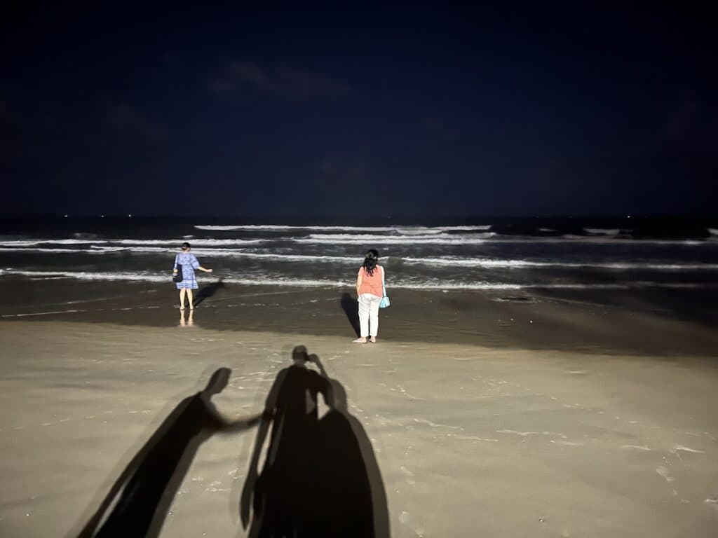 Why Play is Essential for a Fulfilling Life (Even as Adults)