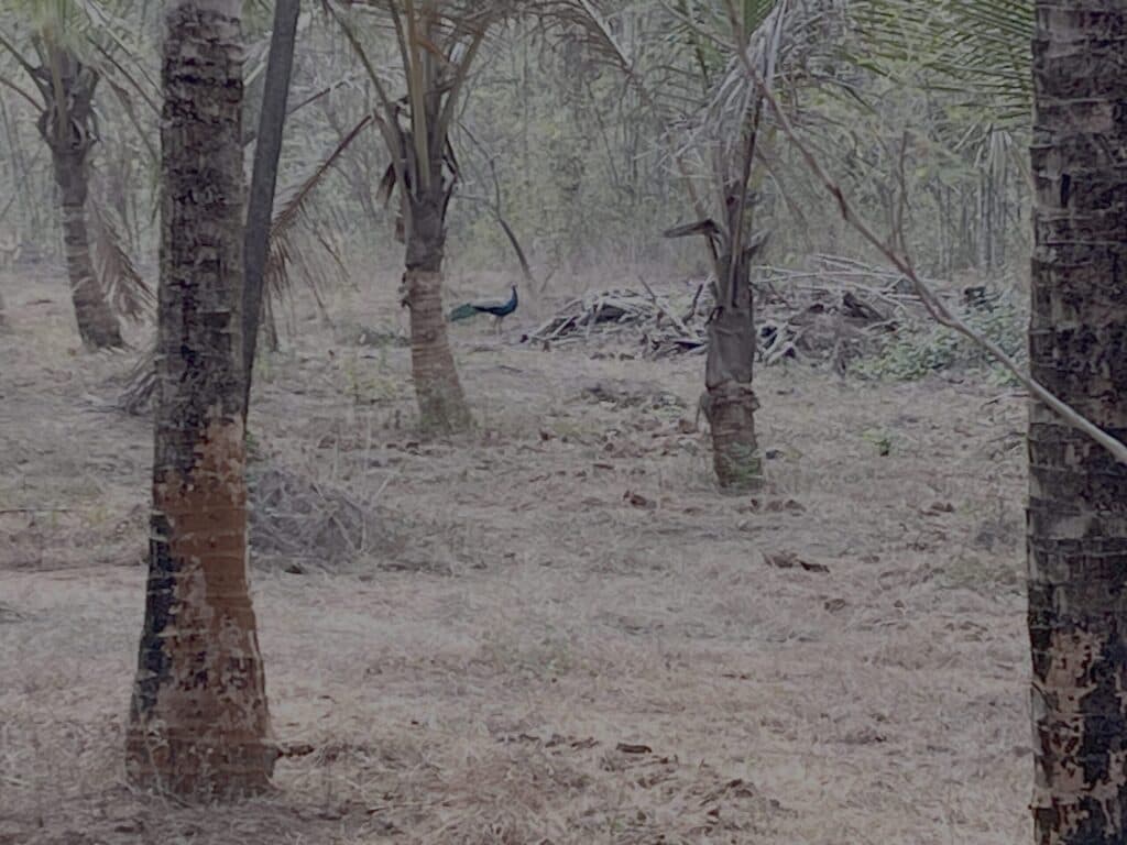 Slowing Down: How It Transformed Our Perspective on Life