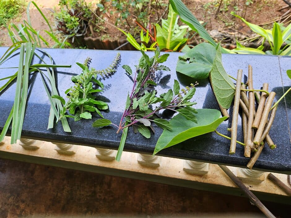 7 Days of Natural Healing: How We Beat the Flu Without Paracetamol