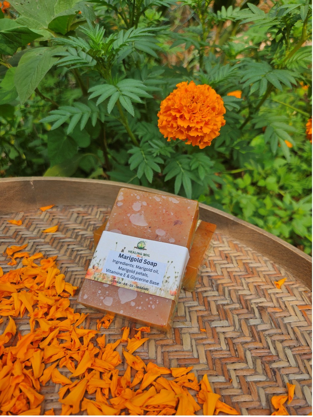 Marigold soap bar on a cane tray surrounded by fresh marigold petals, marigold in bloom in the background