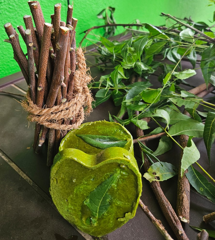 Prepared neem twigs bundled for natural toothbrush making with fresh neem leaves and green bowl for DIY zero waste bathroom routine